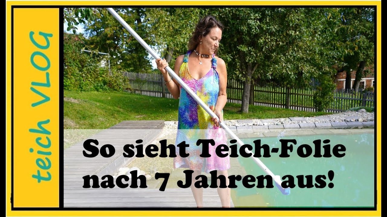 Unsere Teichfolie nach 7 Jahren im Schwimmteich
