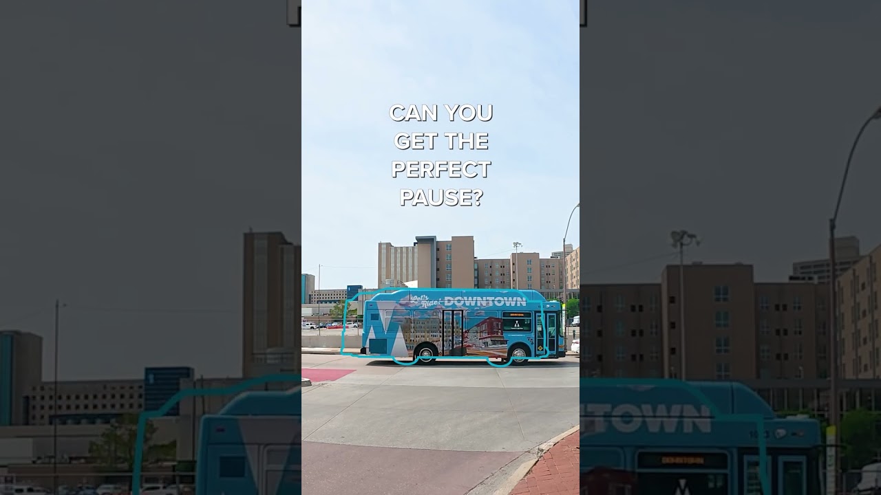 The Perfect Pause: Blue Line