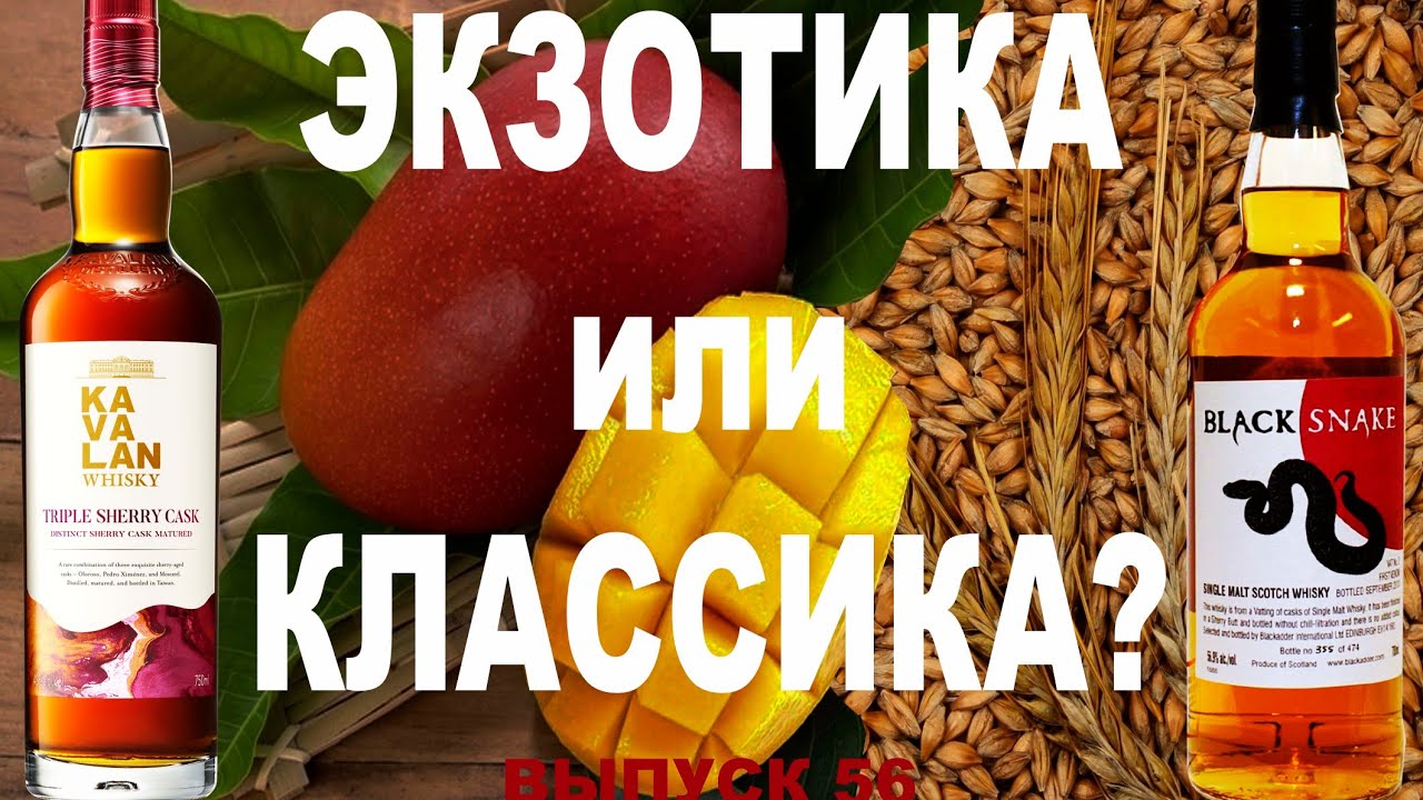 Выпуск 56. Экзотика или классика? Kavalan Triple Sherry Cask & Blackadder Black Snake  #каваланвиски