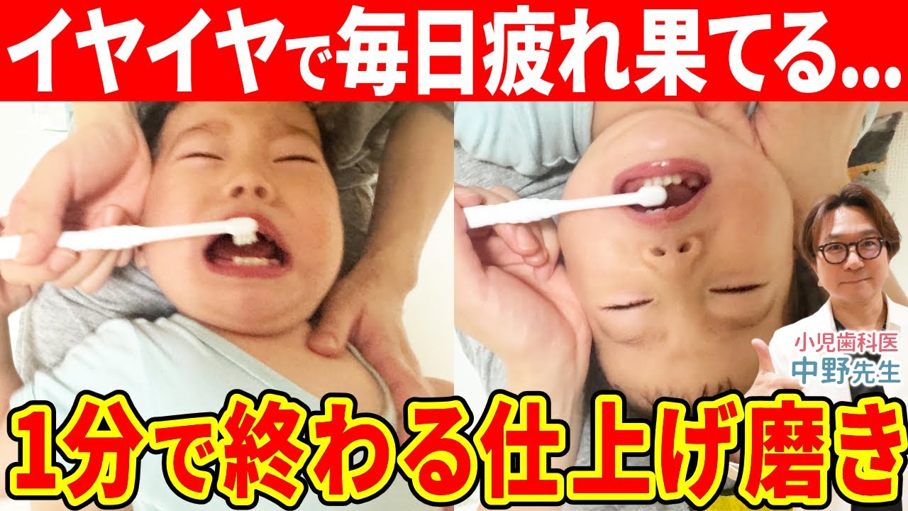 【0〜3歳】歯の生え方で変わる！仕上げ磨き完全ガイド
