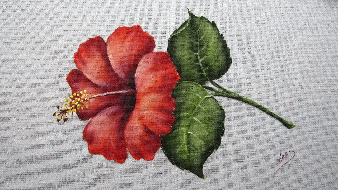 Como Pintar Hibisco Vermelho