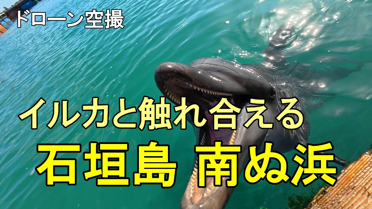 イルカと触れあえる「石垣島 南ぬ浜」【ドローン空撮 4K】