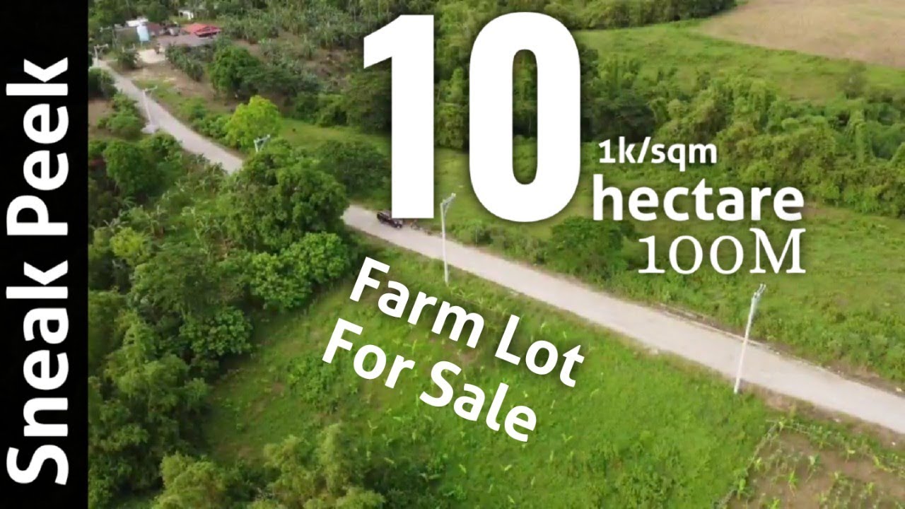 Farm Lot For Sale 10 hectare Maragondon Cavite | Ranch For Sale | Big Lot For Sale