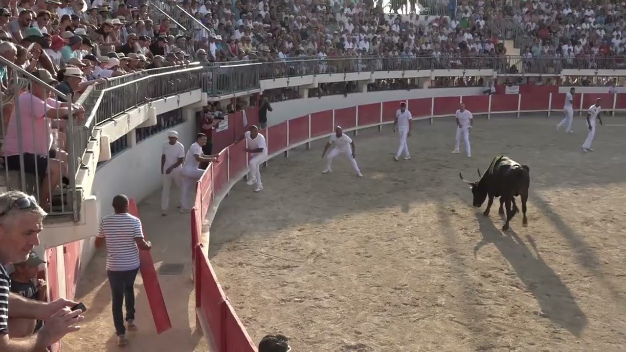 course camarguaise grau du roi 15 aout 2025
