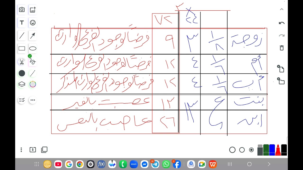 ١١ فبراير ٢٠٢٦