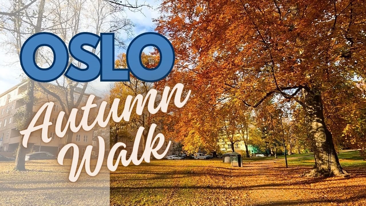 Oslo Autumn Walk October 2024