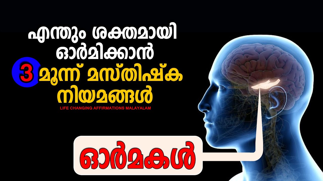 🧠 ഓർമശക്തിയുടെ രഹസ്യങ്ങൾ !!! 🧠 MUST WATCH -  Memory Rule of Brain - IMPROVE MEMORY - Brain Secrets