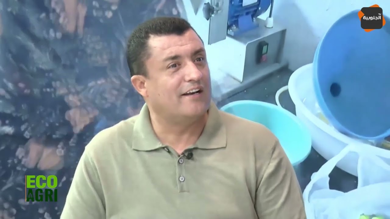 🔵كيفاش يزرع الفلاح الزيتون المناسب !  نصائح على كل فلاح أن يعمل بها و أن يتجنب هذه الأخطاء !!