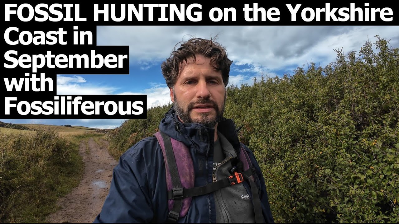 Fossil Hunting on the Yorkshire Coast | Jurassic Ammonites & More!