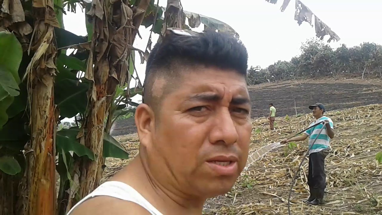 Mocache. Los Rios. ECUADOR