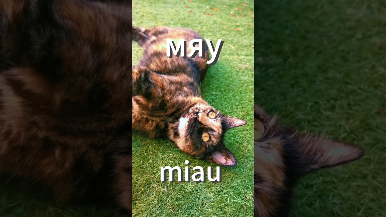 #будьСобой #самопринятие #amourDeSoi #soyezVous #acceptationDeSoi #психология