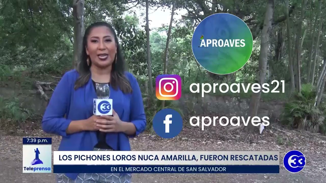 #Teleprensa33 | APROAVES: Primer refugio para aves en El Salvador