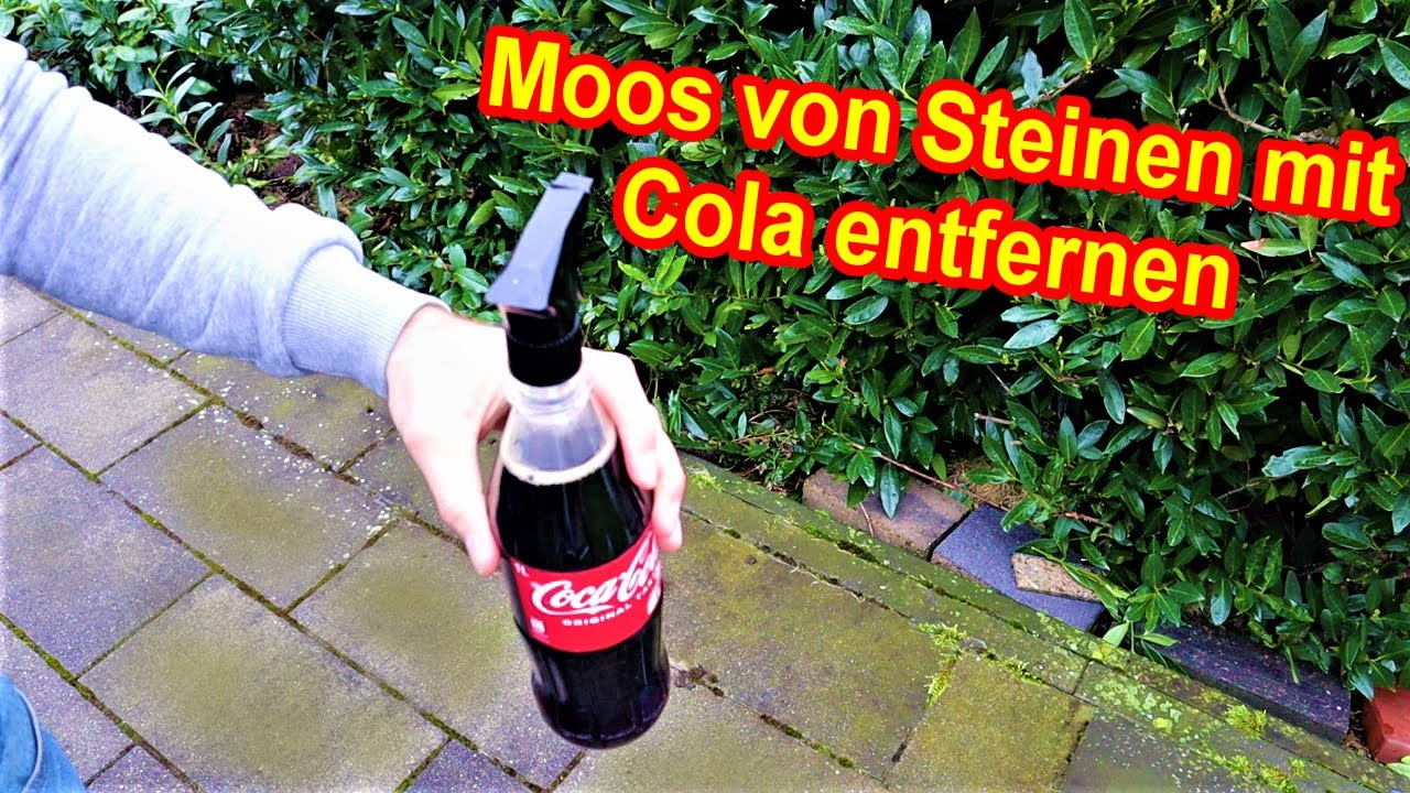 Moos von Steinen mit Cola entfernen &ndash; Moosentferner aus Cola f&uuml;r Terrasse, Dach & Dachziegel