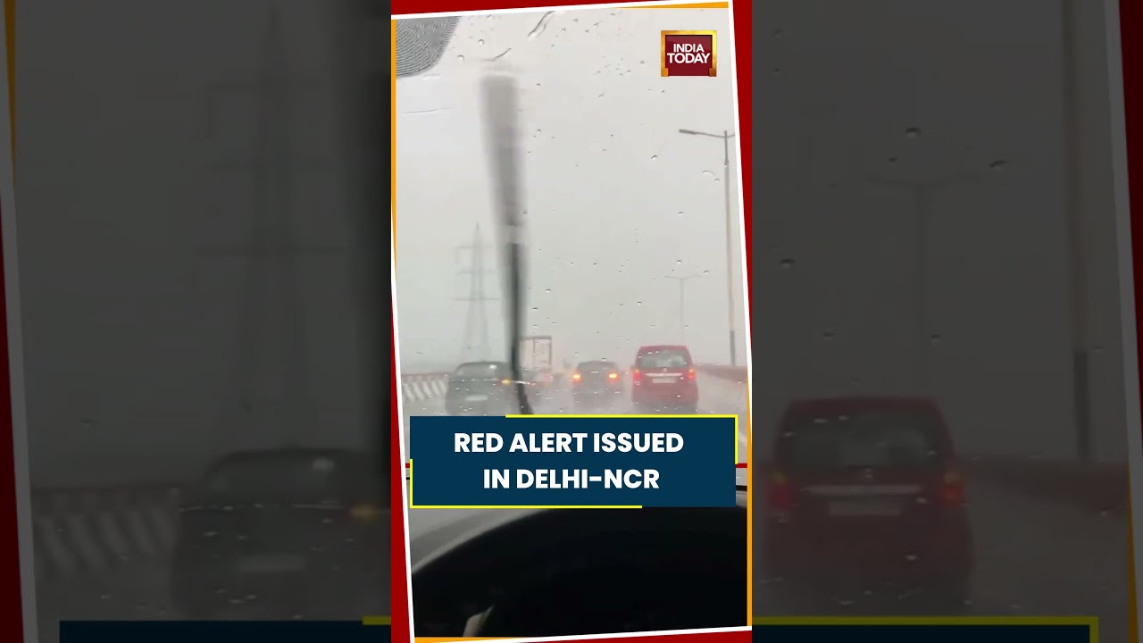 Delhi-NCR Rain: Heavy Showers Lash Capital As IMD Issues Red Alert #delhirain #delhiweather #ncr