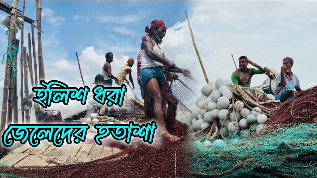 চাঁদপুরের ইলিশ ধরা জেলেদের হতাশা|| Fishermen of Chandpur are spending their days in despair|| Hilsa!