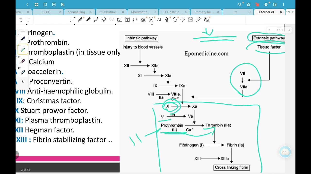 L7 Blood ( Hemostasis Disorders) MEDll ,BFOM41 