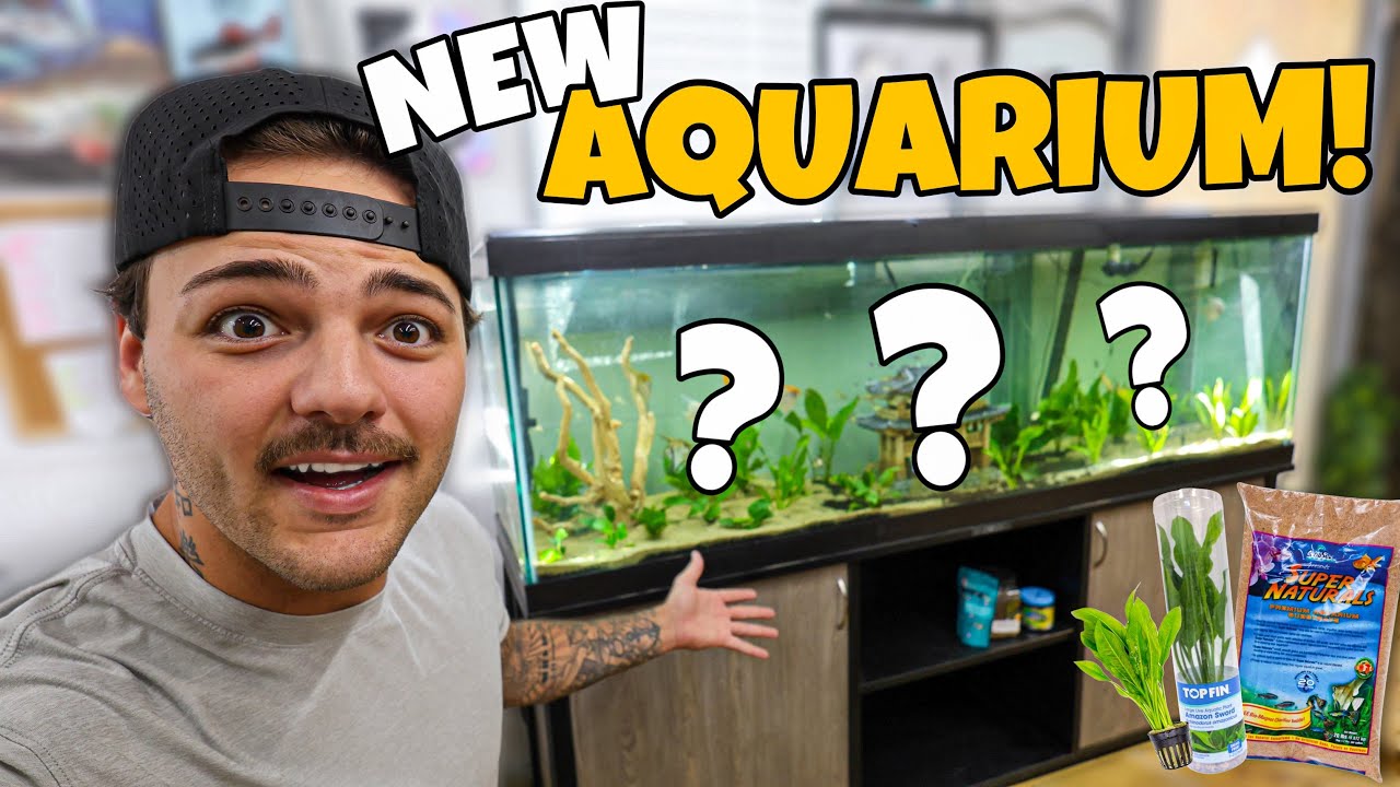 We FINALLY bought a 125G Community FISH TANK!!