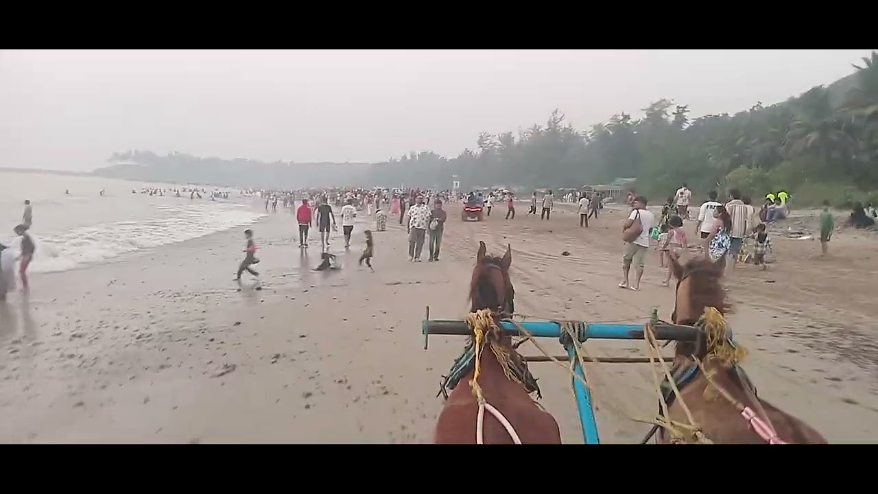 Horse cart riding at kashid beach