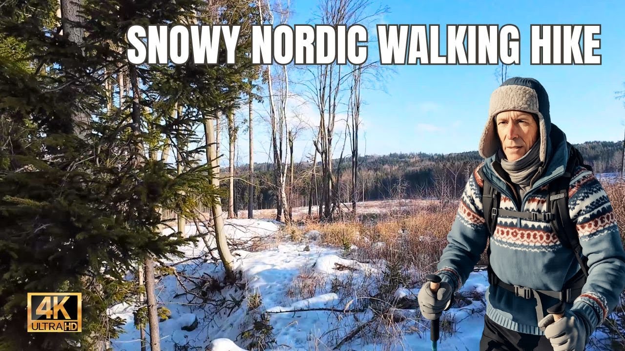 Snowy Trail Nordic Walking | Relaxing Winter Scenery