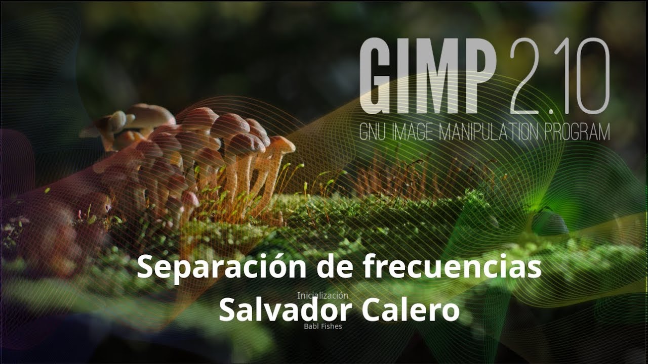 SEPARACIÓN de FRECUENCIAS usando GIMP 2.10 | 2018/2019 | 💪👌