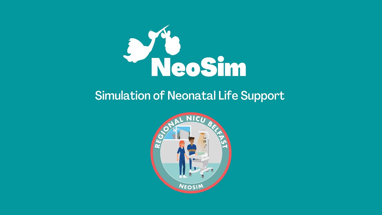 Demonstration of Neonatal Life Support Simulation