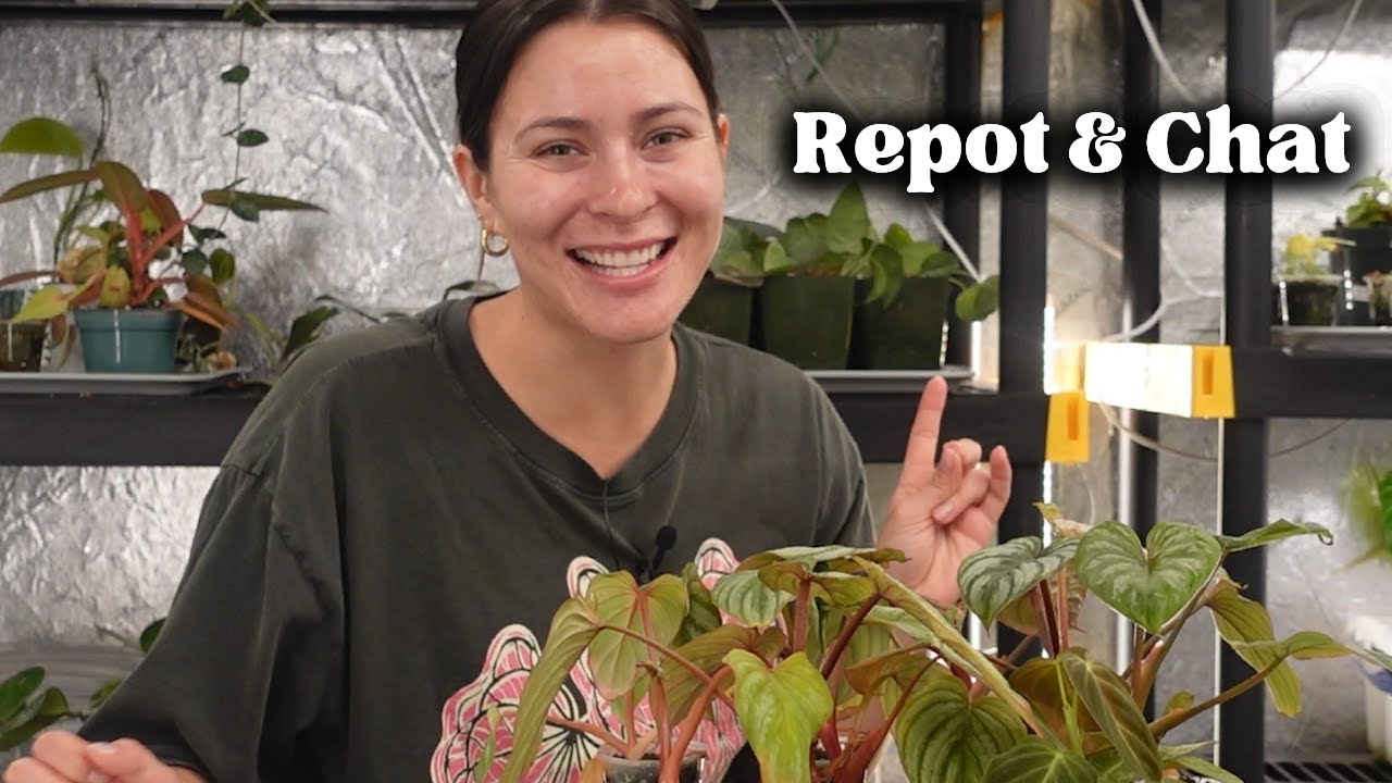 Plant Care Q&A - Baby 3, Fitness, & PLANTS (duh)