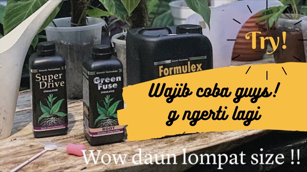 Review plant food formulex, superdrive stimulator dan green fuse dari growth technology