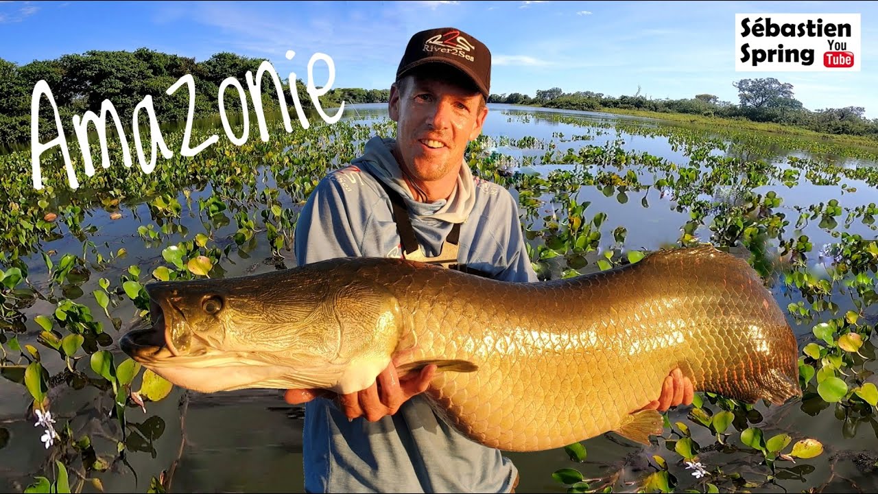 COMBAT SPECTACULAIRE avec un poisson mythique d'Amazonie : l'ARAPAÏMA !!!