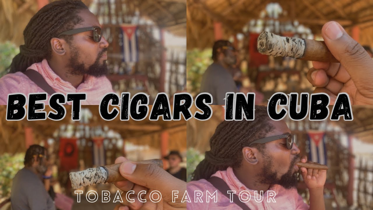 Best Cigars in Cuba. Tobacco Farm Tour