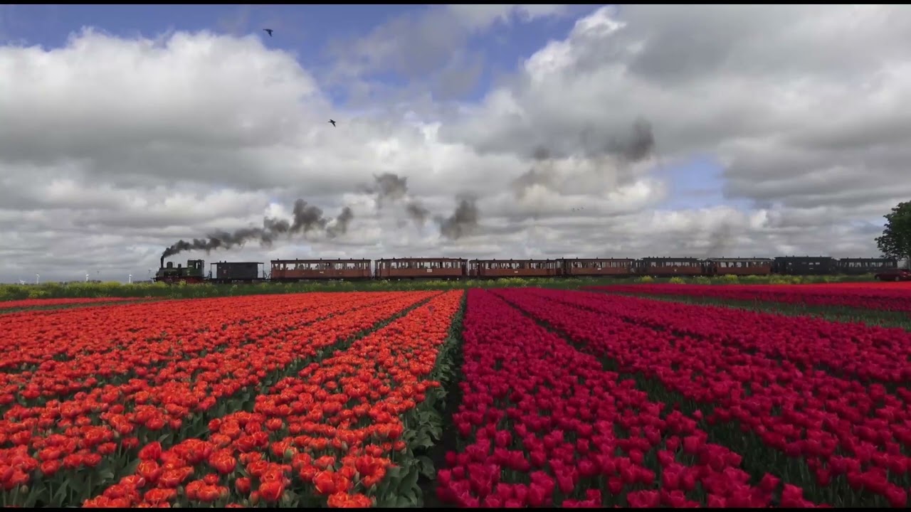 Treincompilaties 2025 - Nederland / Duitsland | Train compilations 2025 - Netherlands / Germany