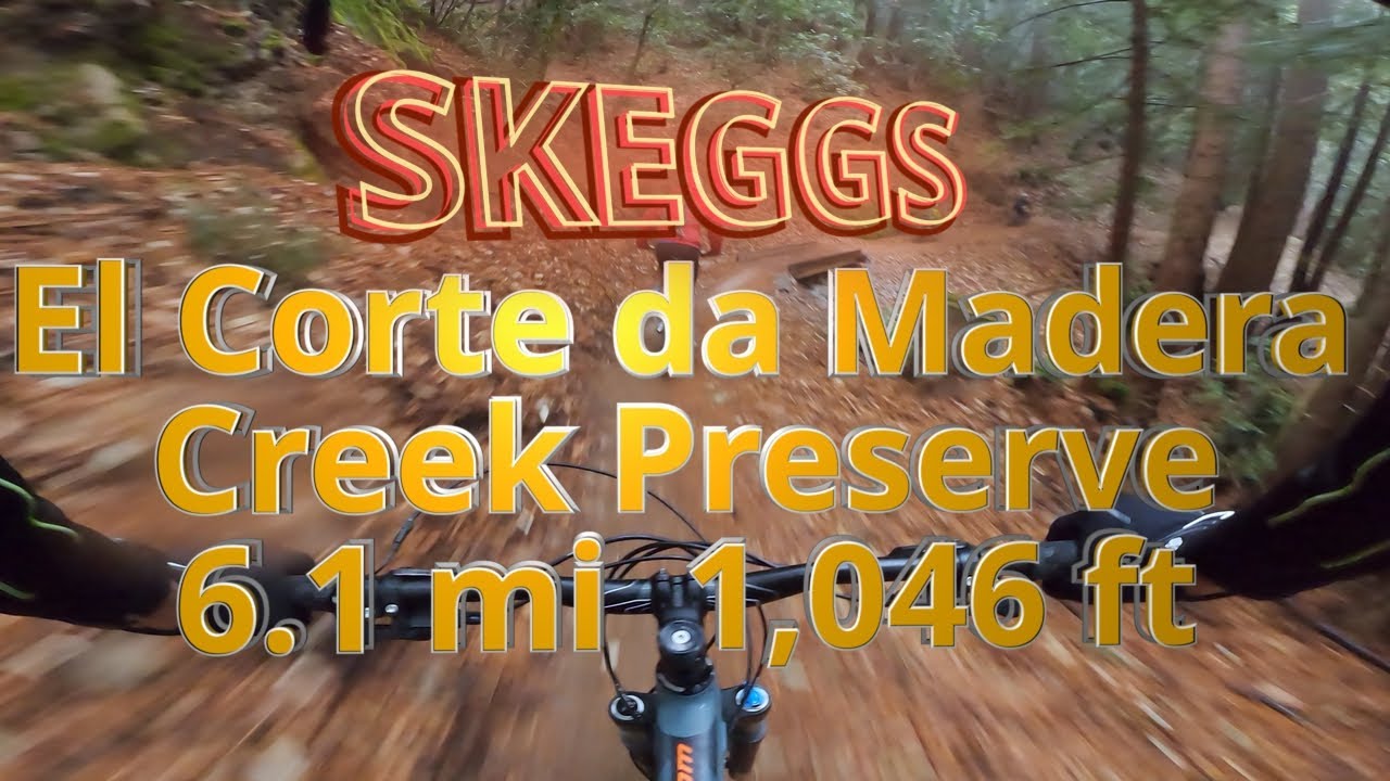 Skeggs, San Mateo County - Flowy MidPen single track through the trees