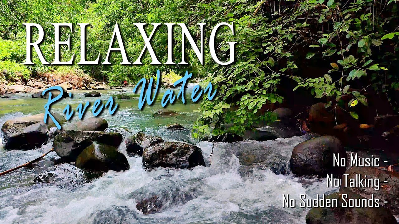 Peaceful Night River for Sleep & Anxiety Relief | Harmony River Waves