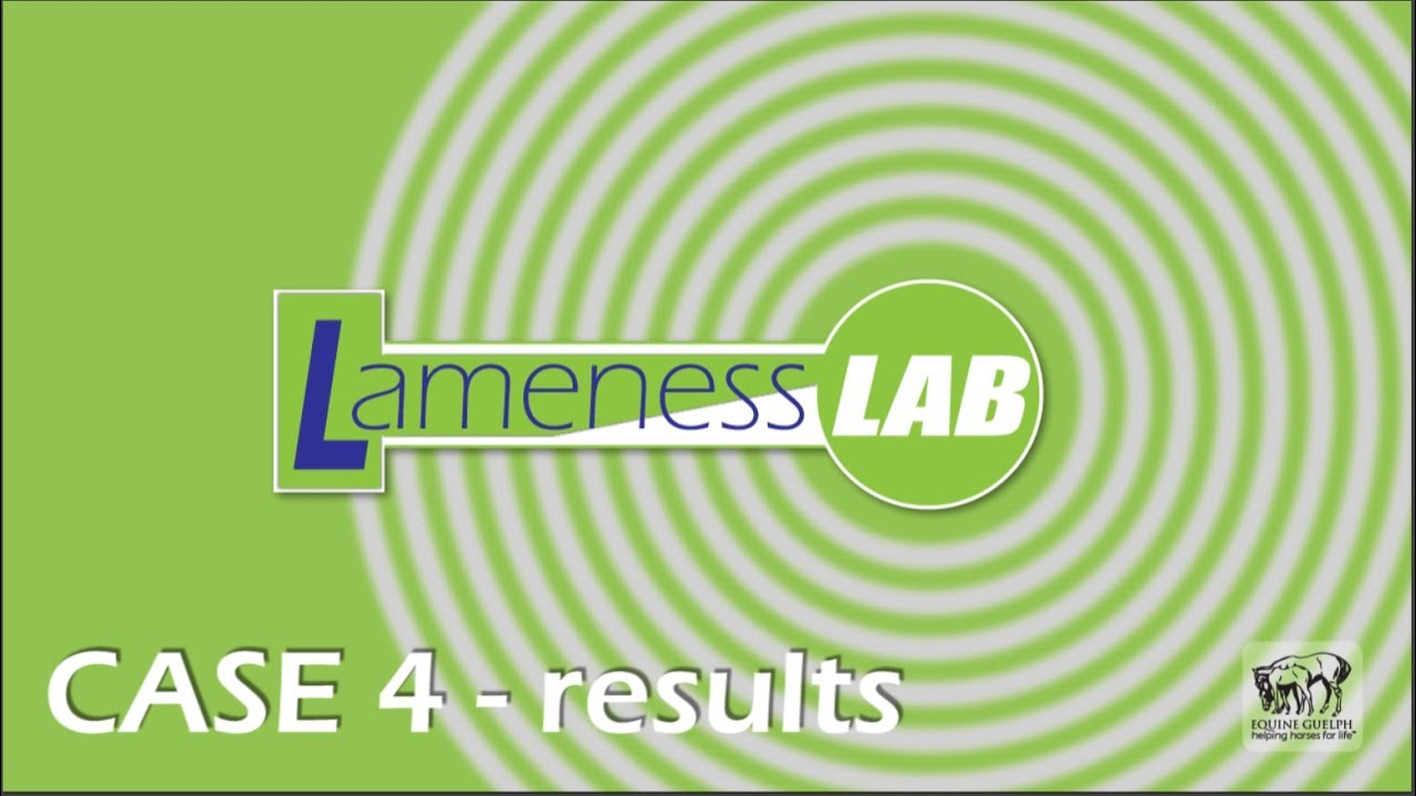 VIDEO CHALLENGE Case 4 Results