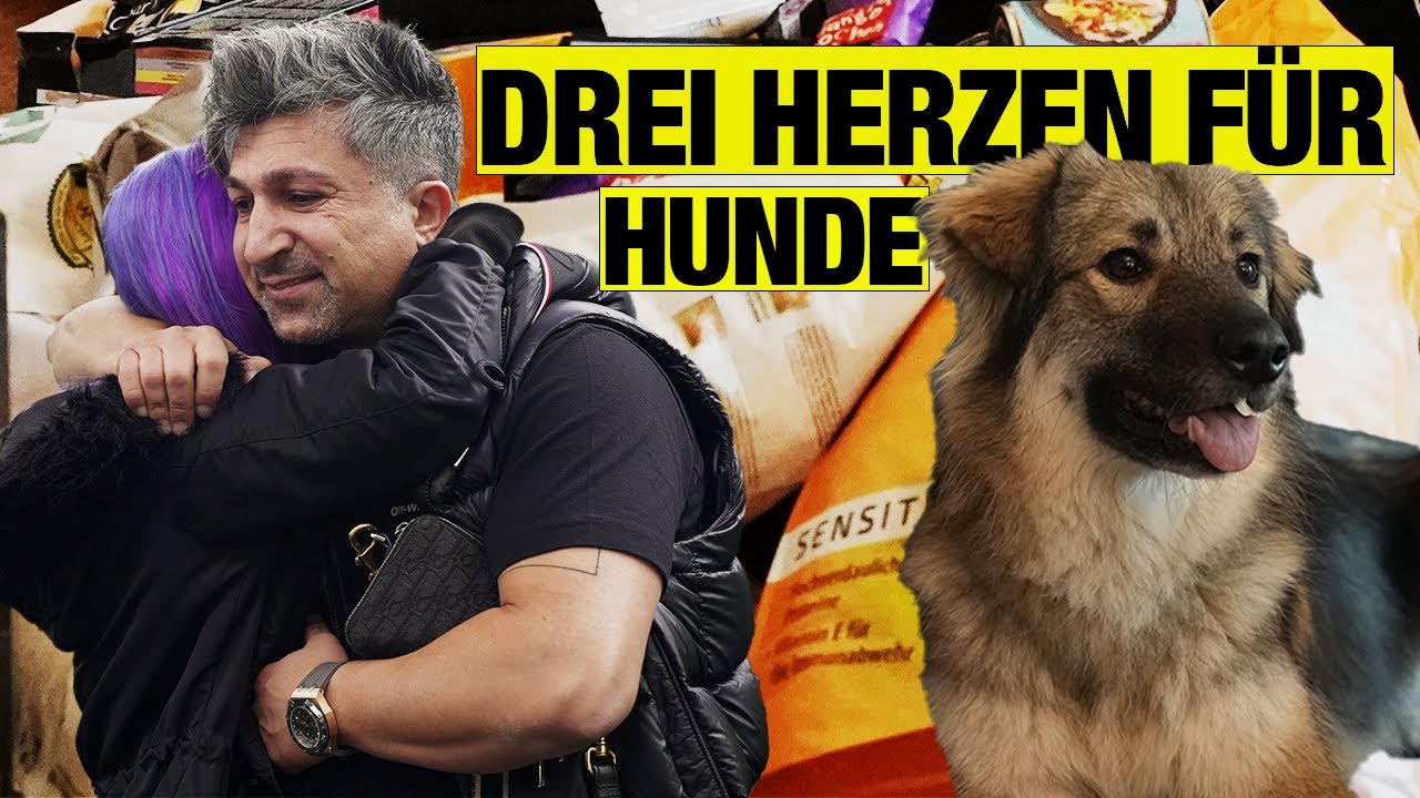Drei HERZEN für HUNDE | Wünsch dir was #chico #chicolotto #wünschdirwas