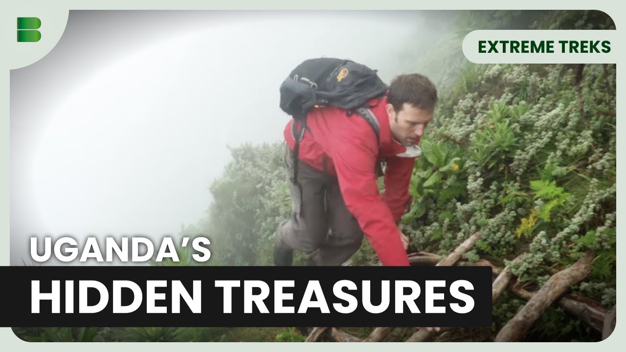 Exploring Uganda's Bwindi Impenetrable National Park | Extreme Treks