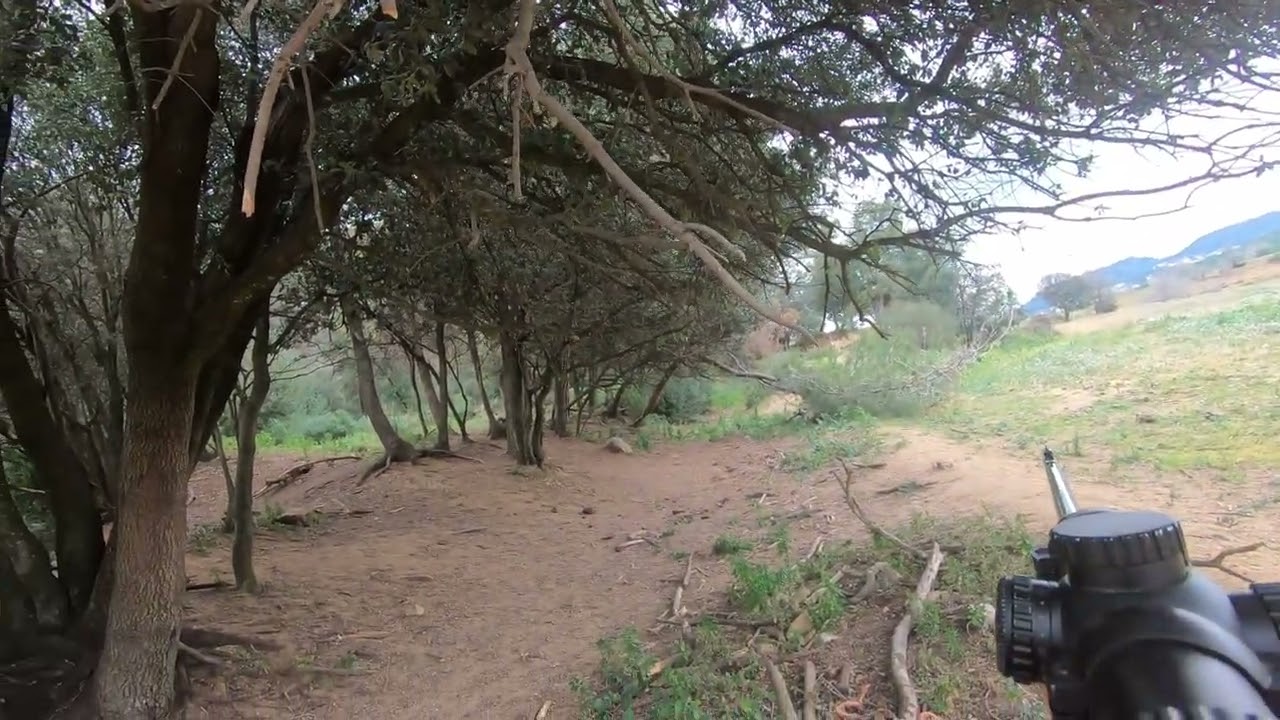 Lance de dos Jabal&iacute;s - 01/02/2025 - Colla del Senglar Caldes de Montbui