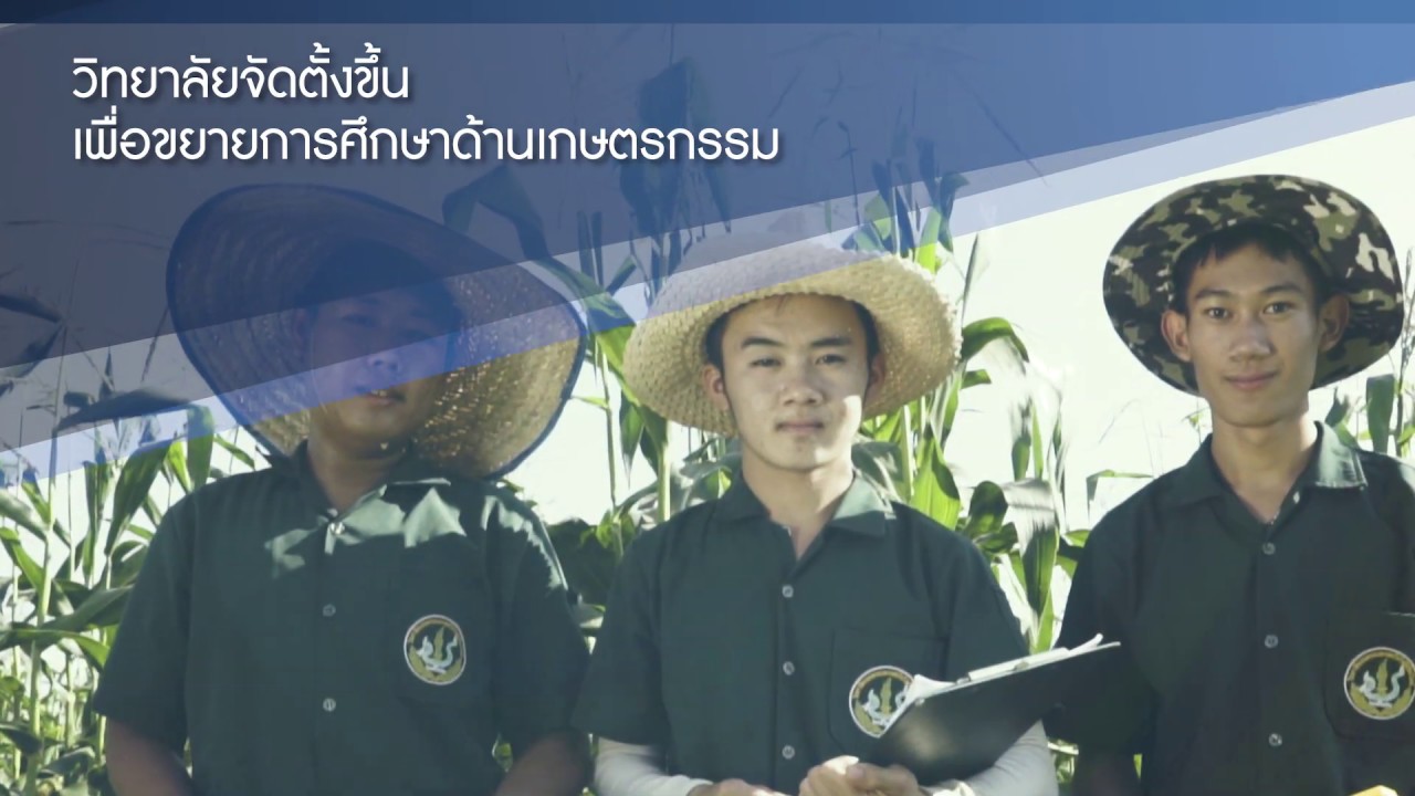 วิทยาลัยเกษตรและเทคโนโลยีเชียงใหม่ 2562 Full HD