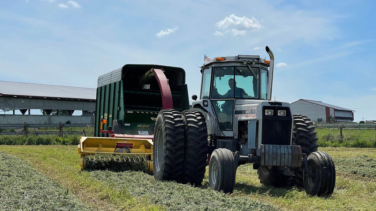Cutting and chopping first cutting alfalfa! (Part 1)