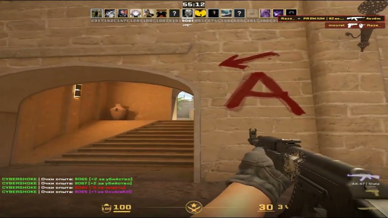 CS2 INPUT LAG.ONLINE DESYNC DM