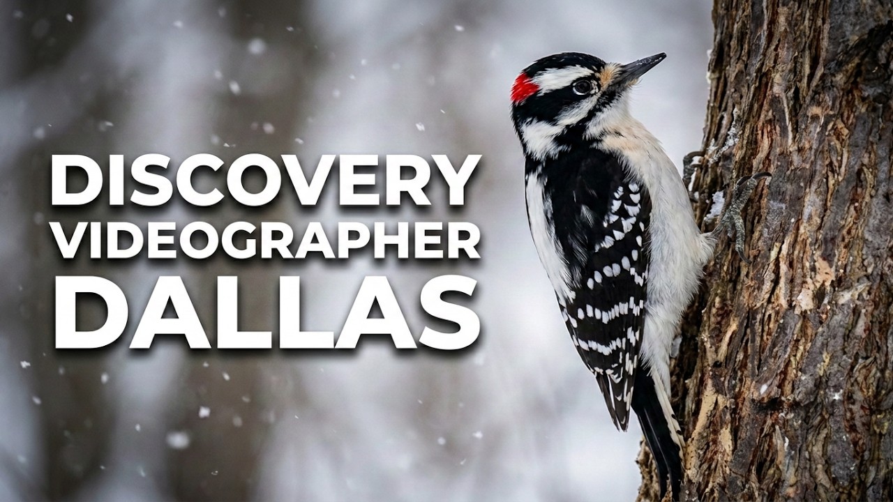 Wildlife Videographer in Dallas Takes on USA's Most ELUSIVE Birds