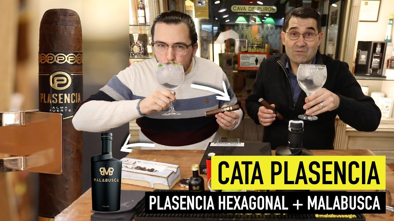 🔥Cata PLASENCIA Hexagonal | Ginebra MALABUSCA | Cigar Specialist