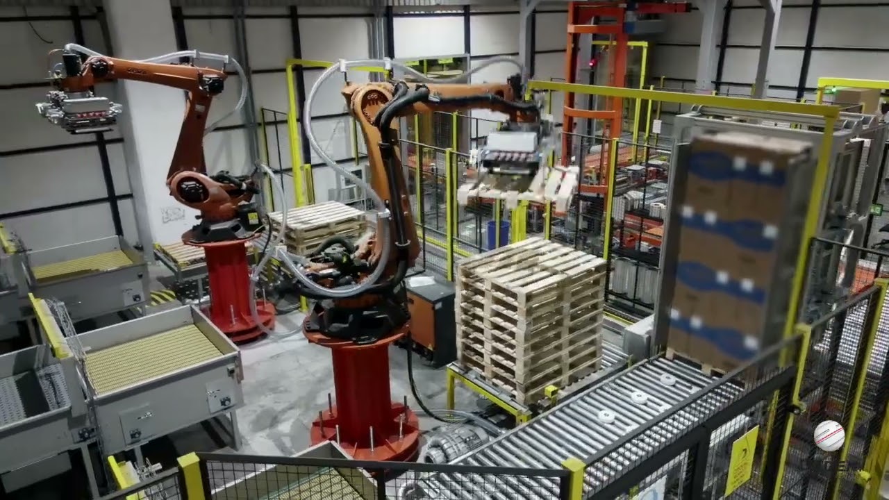 Buffer System & End-of-Line Palletizing - FMCG / Tobacco (BAT)