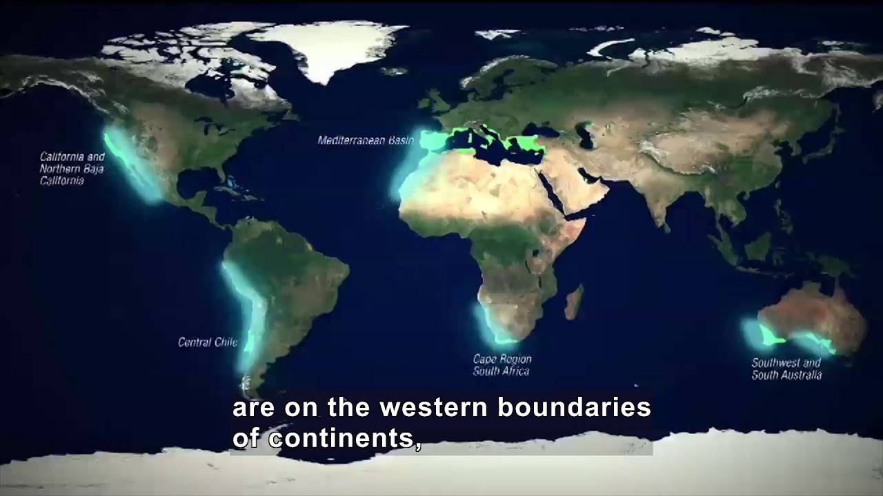Mediterranean-Climate Ecosystems: Oceans and Mediterranean Climate (Accessible Preview)