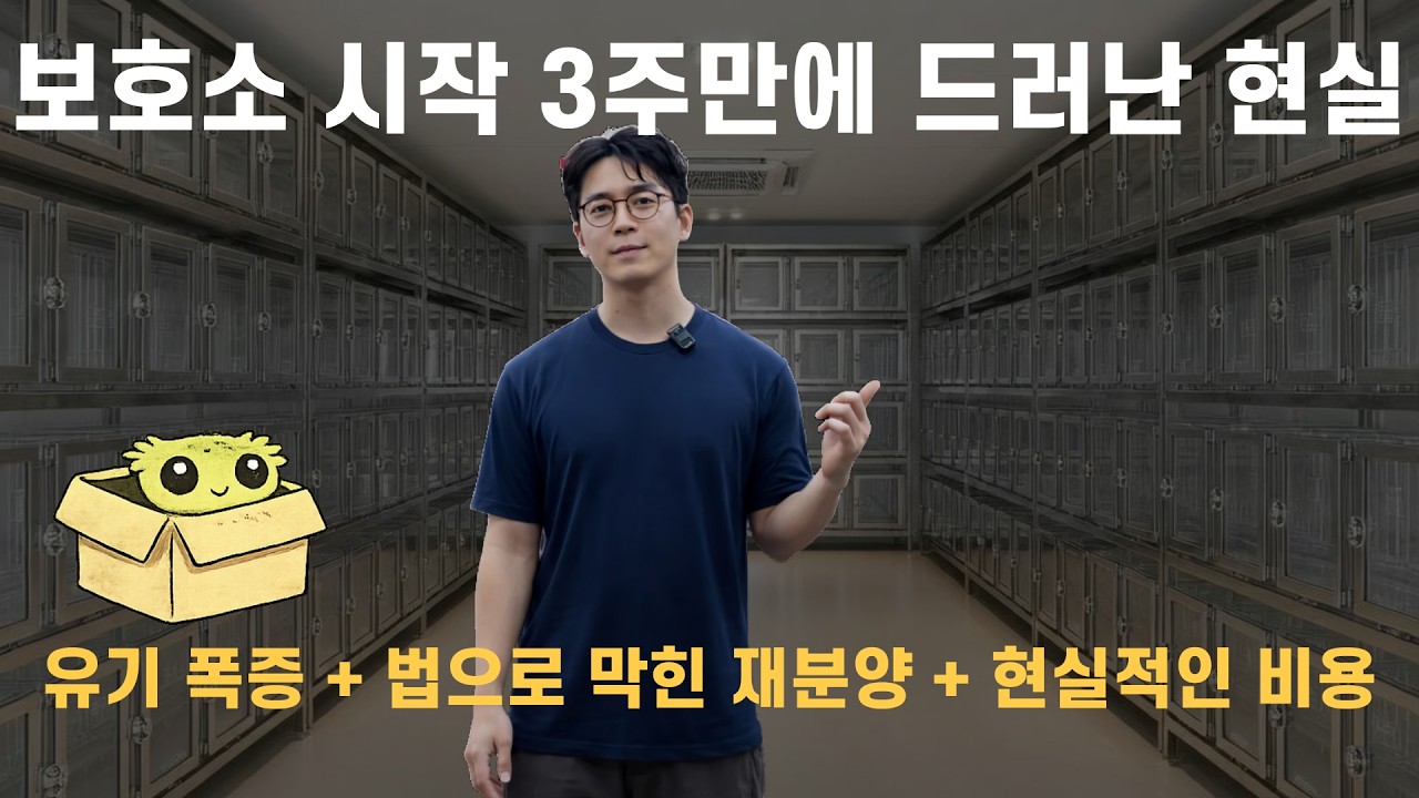 크레스티드 게코 보호소, 시작 3주만에 나타난 현실에 대해서 솔직하게 말해봅니다.