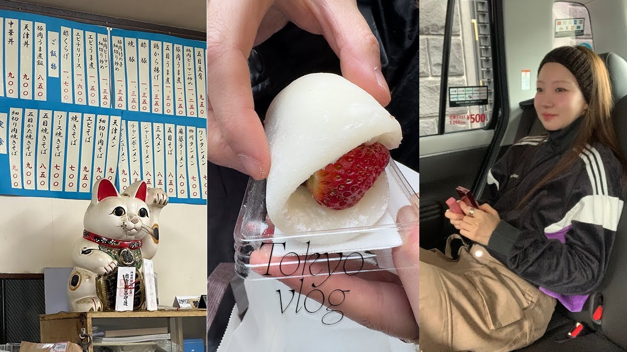 도쿄 3박 4일. 꼭 들르는 편집숍. 빈티지숍. 계절 한정 딸기모찌 맛집. 중국집 맛집. 브런치 맛집🍓