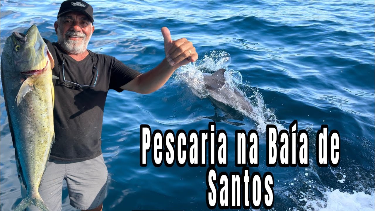 Pescaria Portinho Praia Grande. Muito peixe e visita incrível dos golfinhos.