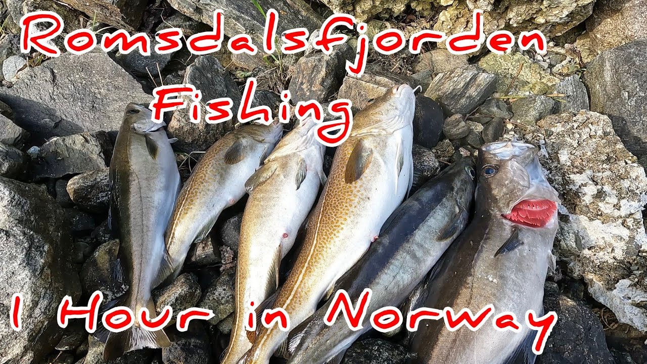 1 Hour Fishing at Romsdalsfjorden – Norway Adventure.