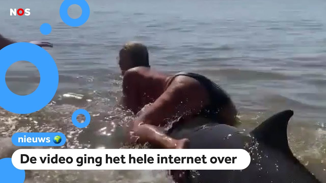 Politie doet onderzoek naar vrouw die op walvis klom