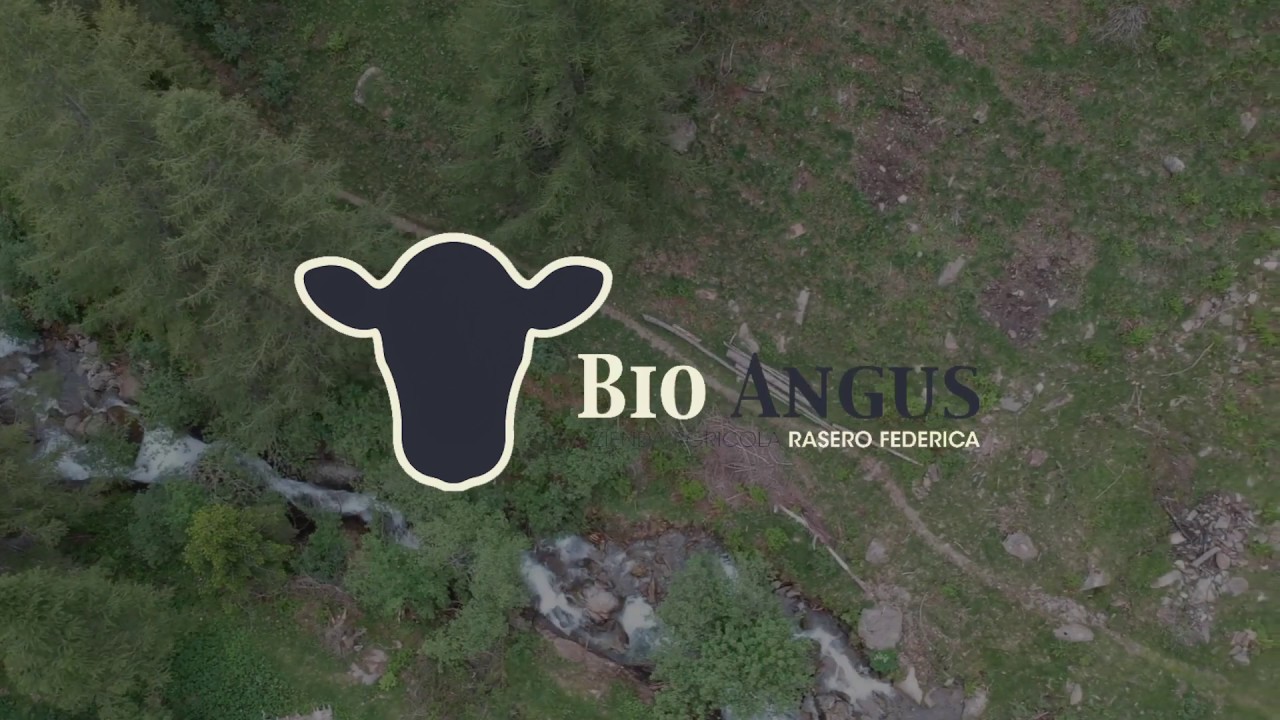 Bio Angus | Alpeggio all'Alpe di Mezzana