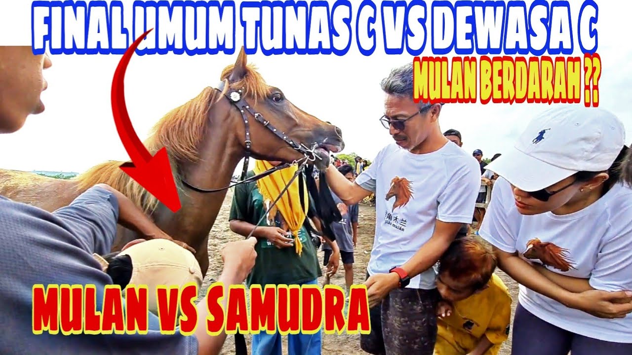 Benarkah MULAN kalah || Apa penyebabnya || kamera di garis finish || Samudra Kuda Hebat || #pacuan